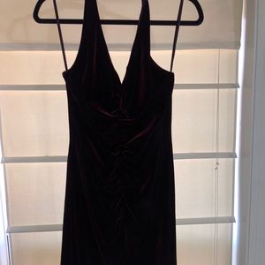 BCBG Velvet Dress